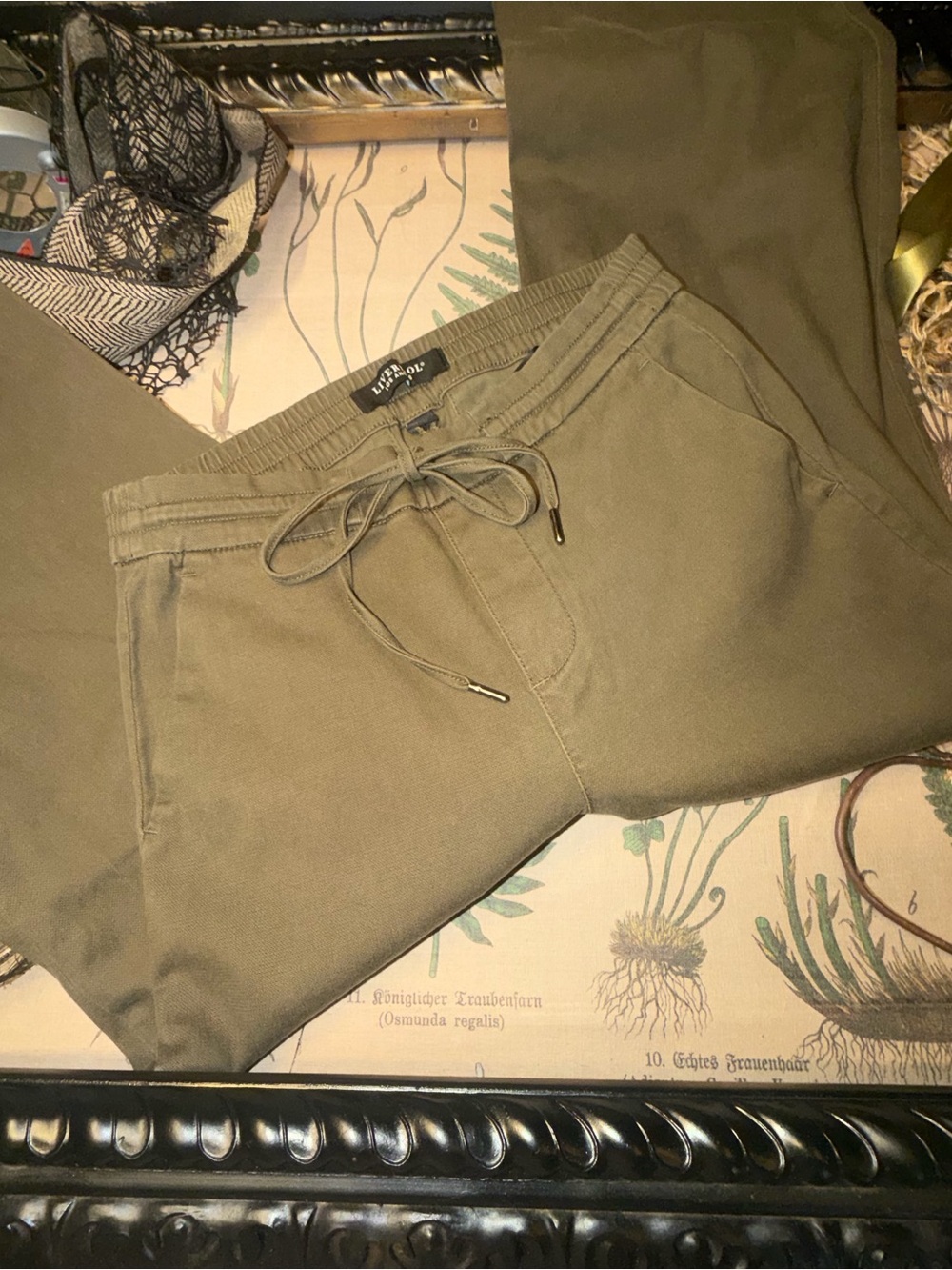 EUC Liverpool Olive Wide Leg Trouser Size 4/27